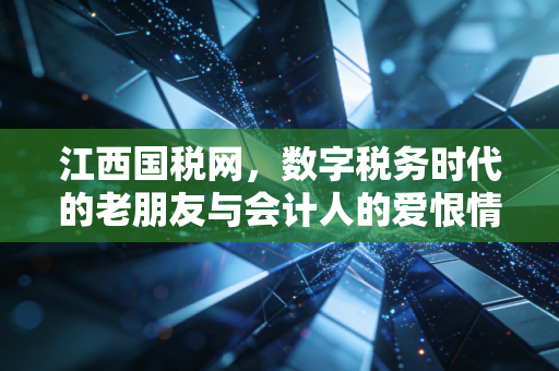 江西国税网，数字税务时代的老朋友与会计人的爱恨情仇