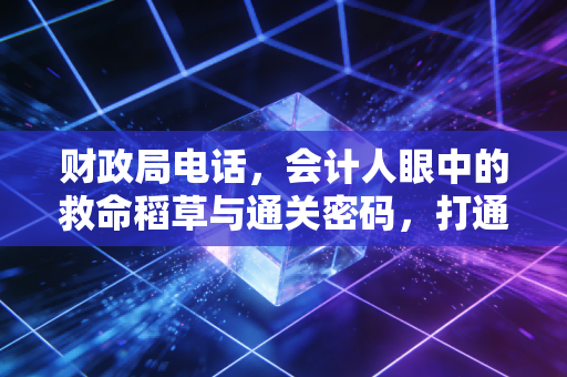财政局电话,会计人眼中的救命稻草与通关密码,打通这层关系你才算真正入行