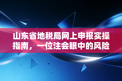 山东省地税局网上申报实操指南，一位注会眼中的风险与机遇