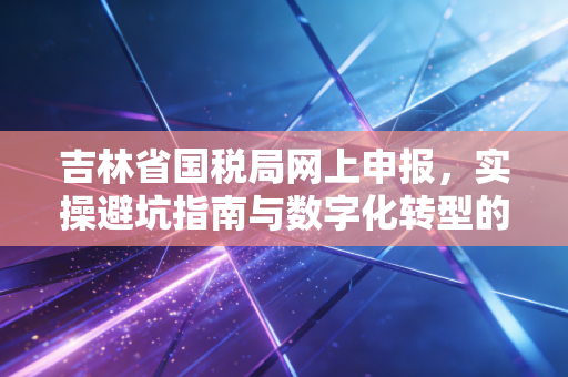吉林省国税局网上申报,实操避坑指南与数字化转型的深度思考