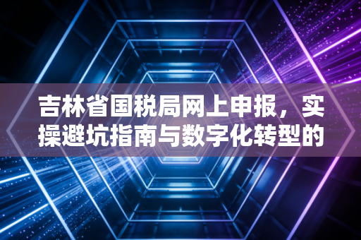 吉林省国税局网上申报,实操避坑指南与数字化转型的深度思考