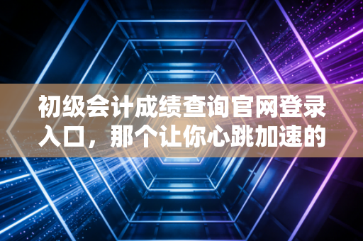 初级会计成绩查询官网登录入口，那个让你心跳加速的网址，到底藏着什么秘密？