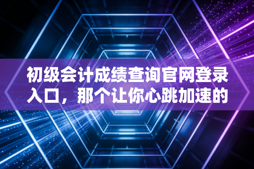 初级会计成绩查询官网登录入口，那个让你心跳加速的网址，到底藏着什么秘密？