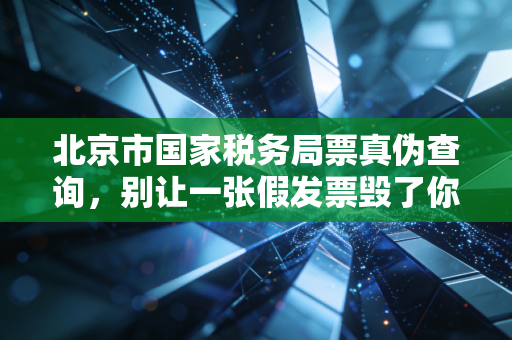 北京市国家税务局票真伪查询，别让一张假发票毁了你的职业生涯，老会计教你避坑指南