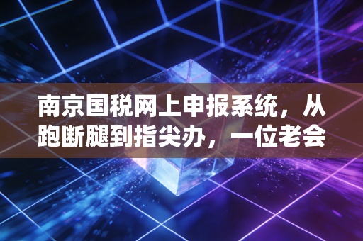 南京国税网上申报系统,从跑断腿到指尖办,一位老会计的数字化生存实录
