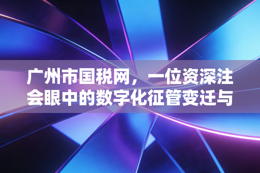 广州市国税网,一位资深注会眼中的数字化征管变迁与企业生存指南