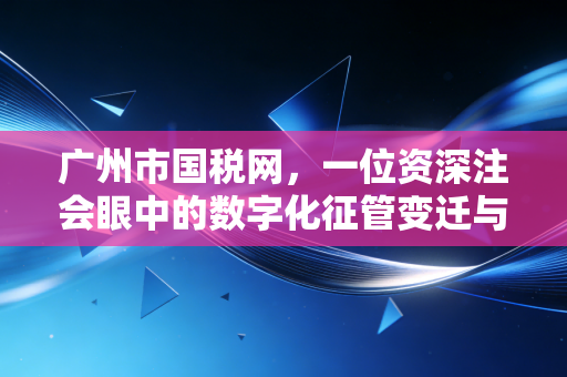 广州市国税网,一位资深注会眼中的数字化征管变迁与企业生存指南