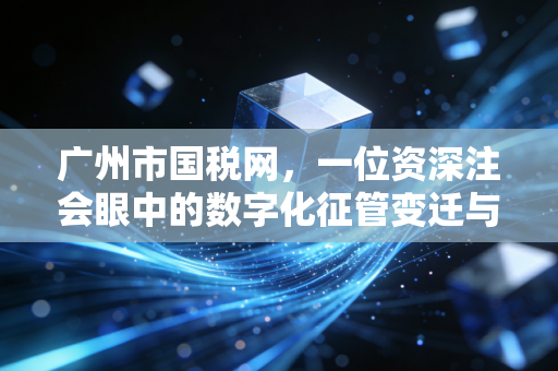 广州市国税网，一位资深注会眼中的数字化征管变迁与企业生存指南
