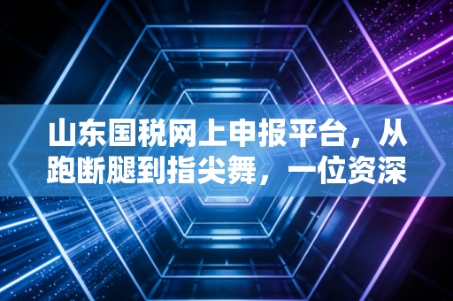 山东国税网上申报平台,从跑断腿到指尖舞,一位资深注会眼中的数字化税务变迁
