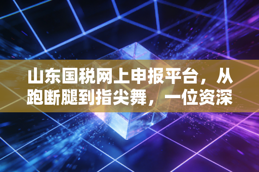 山东国税网上申报平台,从跑断腿到指尖舞,一位资深注会眼中的数字化税务变迁