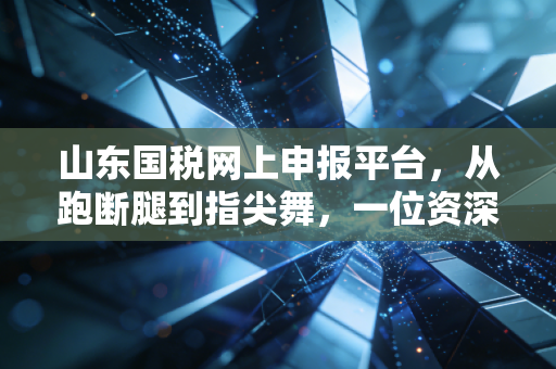山东国税网上申报平台，从跑断腿到指尖舞，一位资深注会眼中的数字化税务变迁