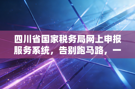 四川省国家税务局网上申报服务系统，告别跑马路，一位资深会计眼中的数字化征管变迁
