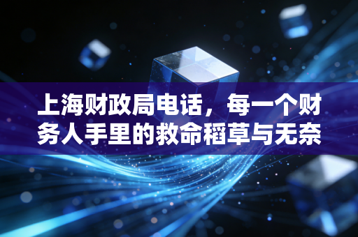 上海财政局电话，每一个财务人手里的救命稻草与无奈叹息