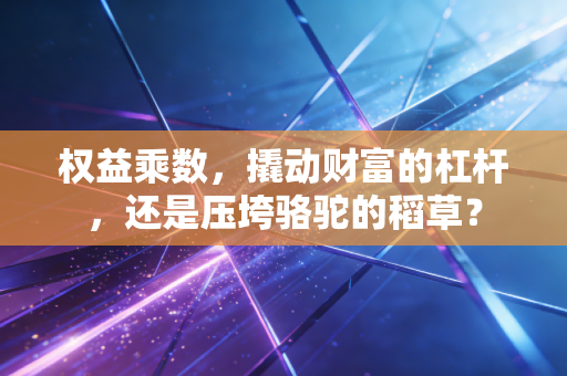 权益乘数,撬动财富的杠杆,还是压垮骆驼的稻草?