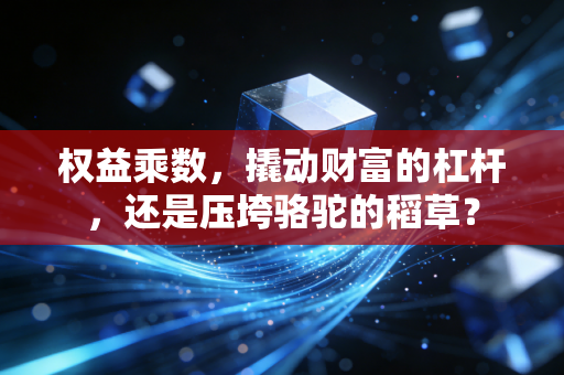 权益乘数，撬动财富的杠杆，还是压垮骆驼的稻草？
