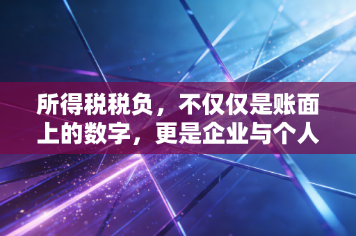 所得税税负，不仅仅是账面上的数字，更是企业与个人财富博弈的隐形战场