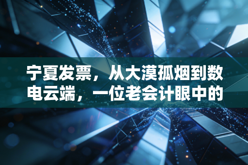 宁夏发票,从大漠孤烟到数电云端,一位老会计眼中的税务变迁与合规实战