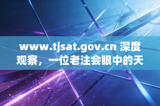 www.tjsat.gov.cn 深度观察,一位老注会眼中的天津税务数字化征管与企业生存实录