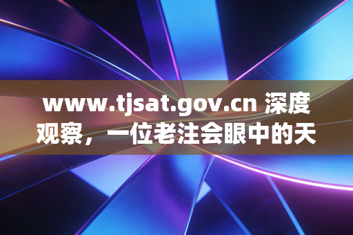 www.tjsat.gov.cn 深度观察，一位老注会眼中的天津税务数字化征管与企业生存实录