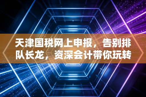 天津国税网上申报，告别排队长龙，资深会计带你玩转指尖上的财税江湖