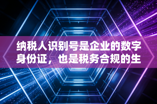 纳税人识别号是企业的数字身份证,也是税务合规的生命线——一位注册会计师的深度解读