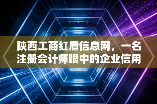 陕西工商红盾信息网,一名注册会计师眼中的企业信用查询与实务指南