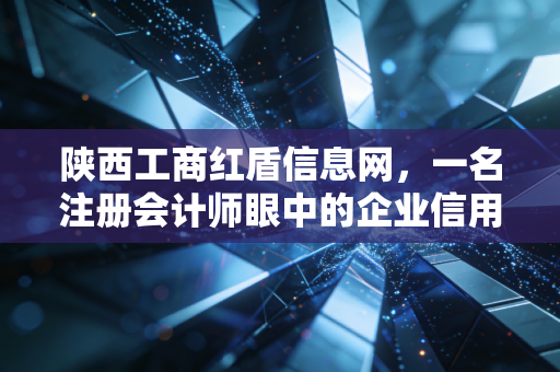 陕西工商红盾信息网，一名注册会计师眼中的企业信用查询与实务指南
