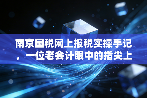 南京国税网上报税实操手记,一位老会计眼中的指尖上的税务博弈