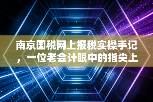 南京国税网上报税实操手记，一位老会计眼中的指尖上的税务博弈