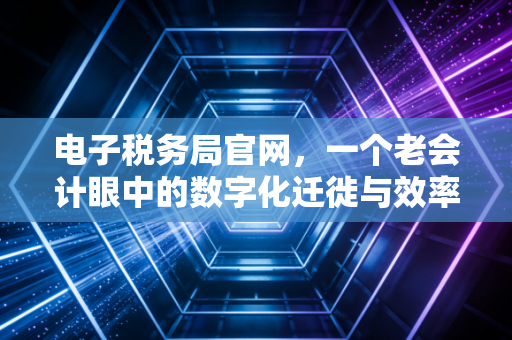 电子税务局官网,一个老会计眼中的数字化迁徙与效率革命