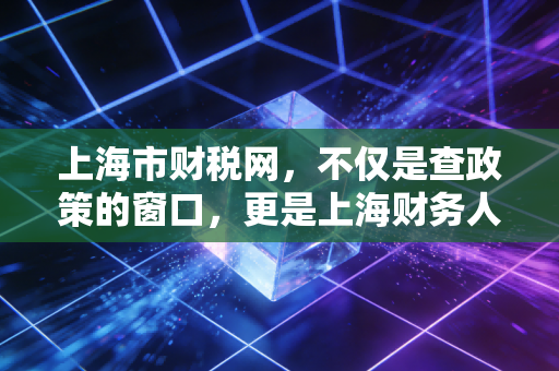 上海市财税网，不仅是查政策的窗口，更是上海财务人的第二大脑