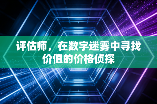 评估师，在数字迷雾中寻找价值的价格侦探
