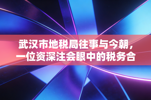 武汉市地税局往事与今朝，一位资深注会眼中的税务合规之路