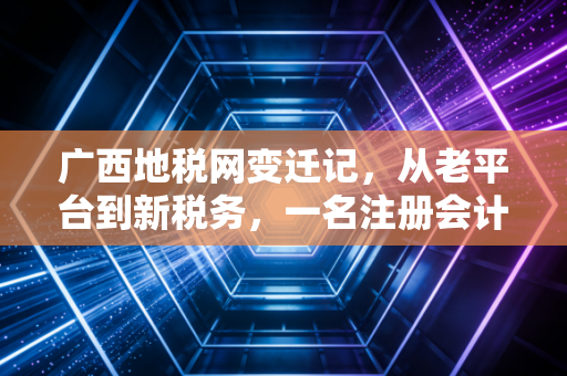 广西地税网变迁记,从老平台到新税务,一名注册会计师眼中的广西财税生态进化论