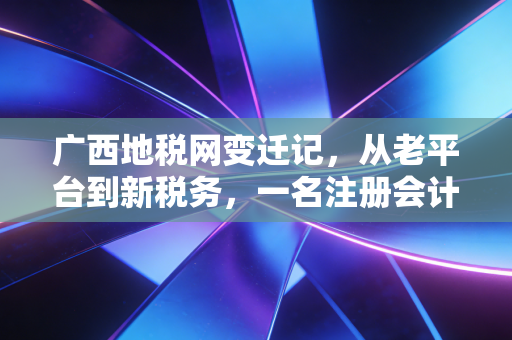 广西地税网变迁记,从老平台到新税务,一名注册会计师眼中的广西财税生态进化论