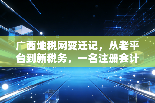 广西地税网变迁记，从老平台到新税务，一名注册会计师眼中的广西财税生态进化论