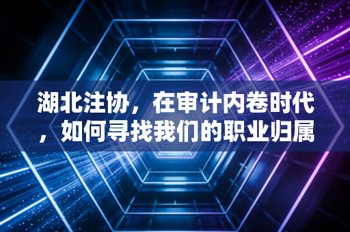 湖北注协，在审计内卷时代，如何寻找我们的职业归属感？