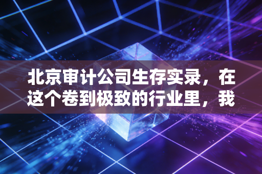 北京审计公司生存实录,在这个卷到极致的行业里,我们到底在审计什么?
