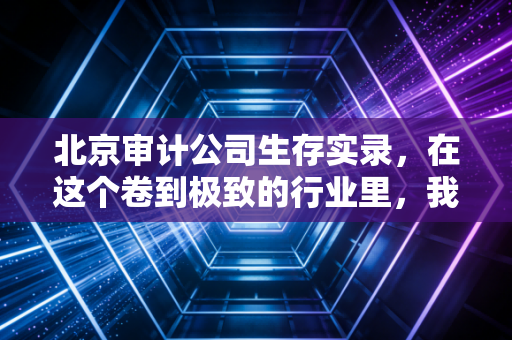 北京审计公司生存实录，在这个卷到极致的行业里，我们到底在审计什么？