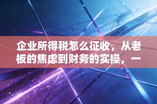 企业所得税怎么征收，从老板的焦虑到财务的实操，一文讲透税负背后的逻辑与规划