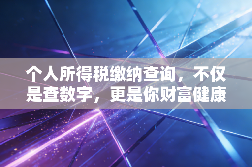 个人所得税缴纳查询,不仅是查数字,更是你财富健康的体检报告
