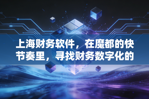 上海财务软件,在魔都的快节奏里,寻找财务数字化的最优解