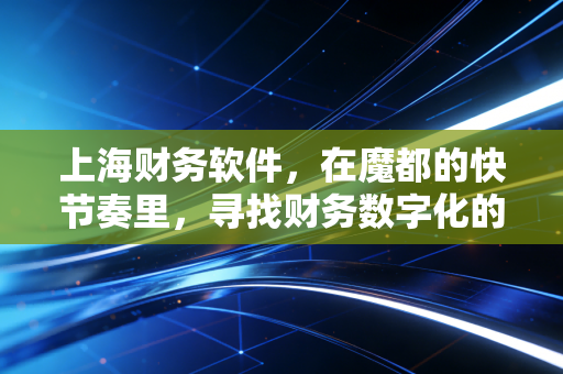 上海财务软件，在魔都的快节奏里，寻找财务数字化的最优解
