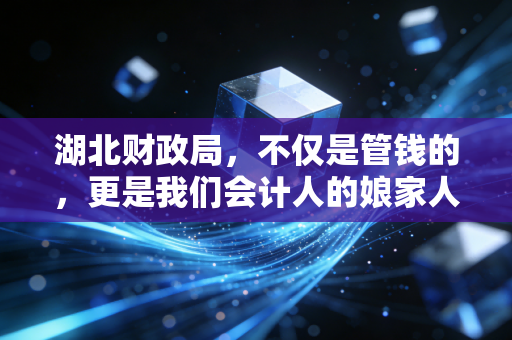 湖北财政局，不仅是管钱的，更是我们会计人的娘家人——聊聊那些年我们与财政局的爱恨情仇