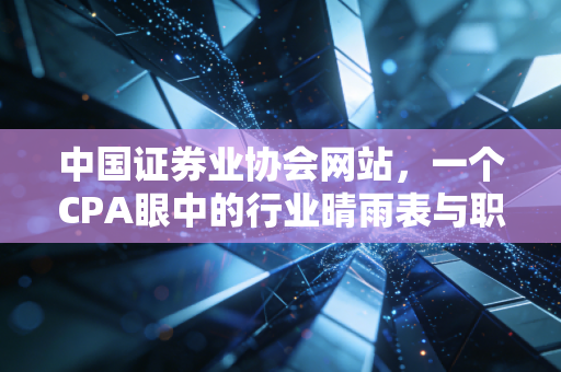 中国证券业协会网站,一个CPA眼中的行业晴雨表与职业导航仪
