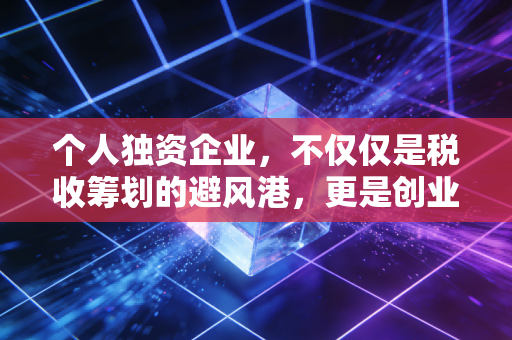 个人独资企业,不仅仅是税收筹划的避风港,更是创业者必须读懂的双刃剑