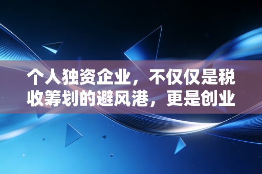 个人独资企业,不仅仅是税收筹划的避风港,更是创业者必须读懂的双刃剑