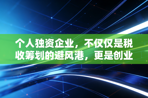 个人独资企业，不仅仅是税收筹划的避风港，更是创业者必须读懂的双刃剑