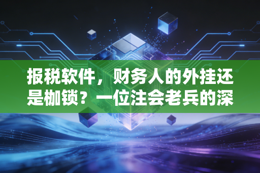 报税软件，财务人的外挂还是枷锁？一位注会老兵的深度观察