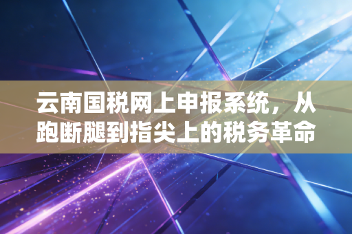 云南国税网上申报系统，从跑断腿到指尖上的税务革命，一位老会计的实战感悟